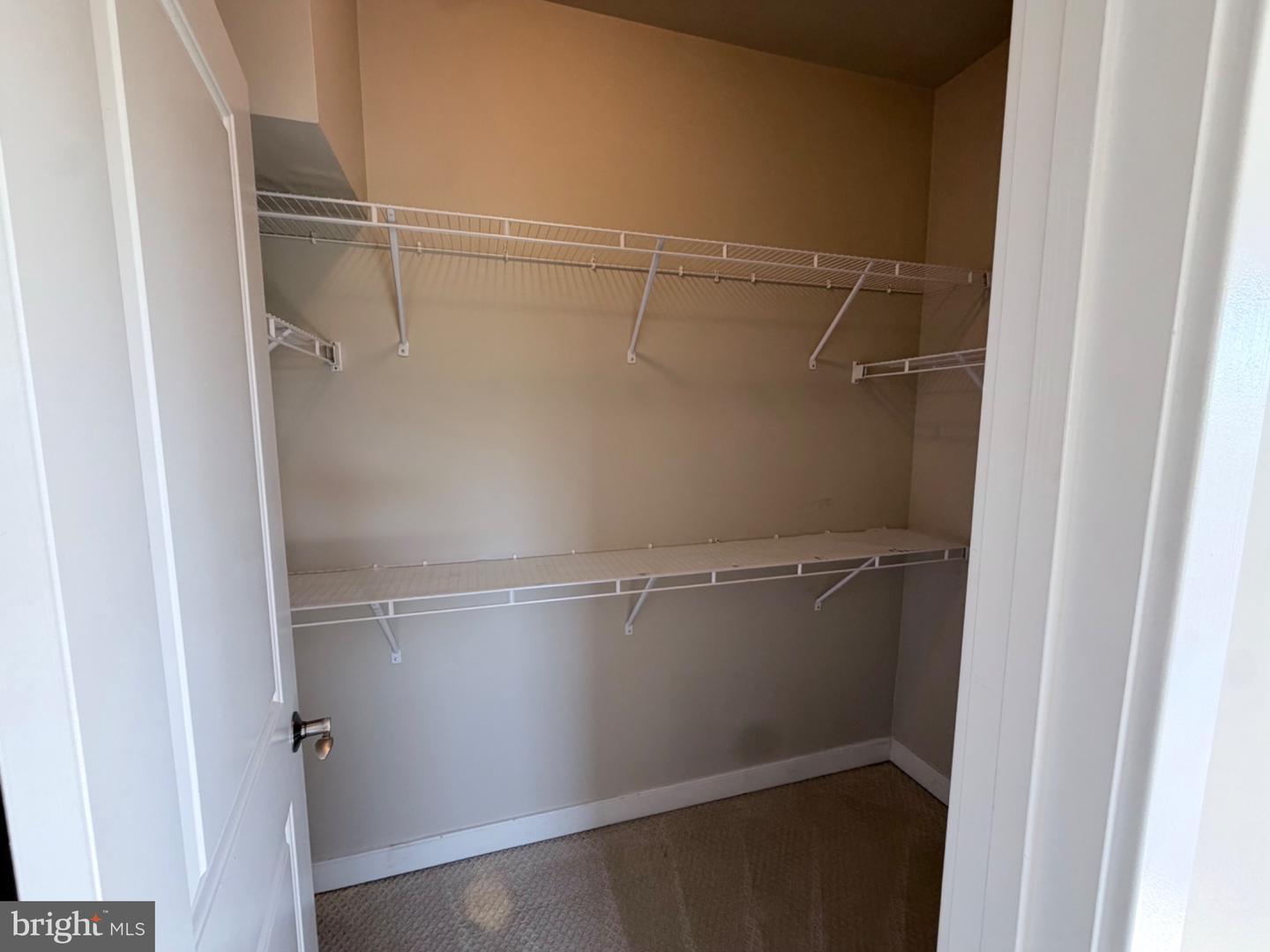 4560 Longfellow St Property Photo 16
