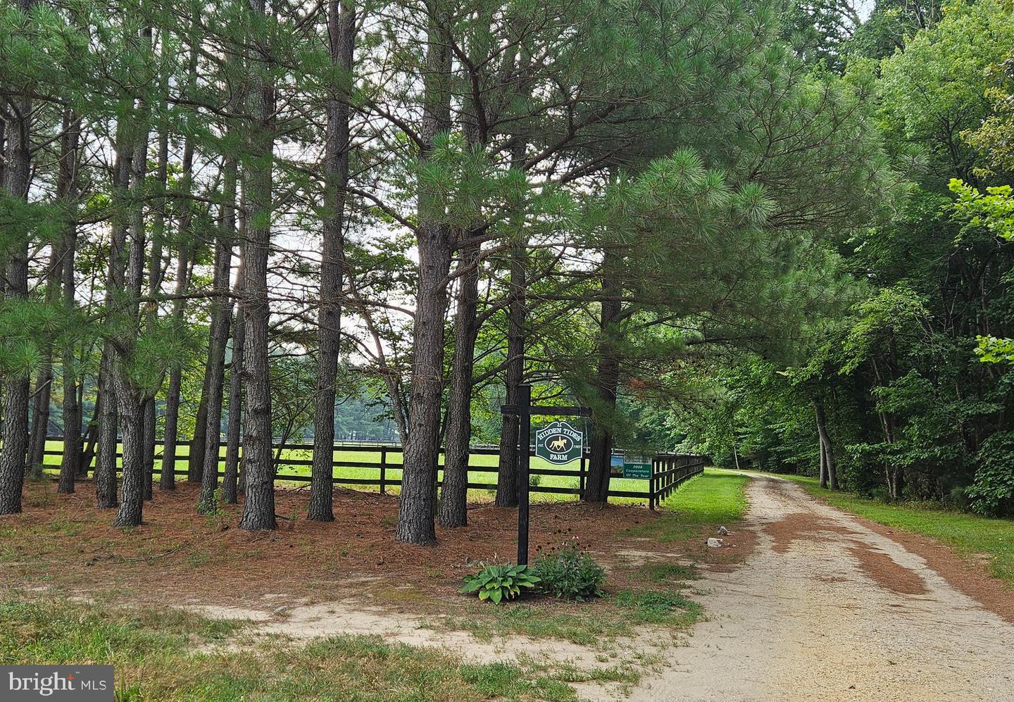16351 Tanyard Rd Property Photo 3
