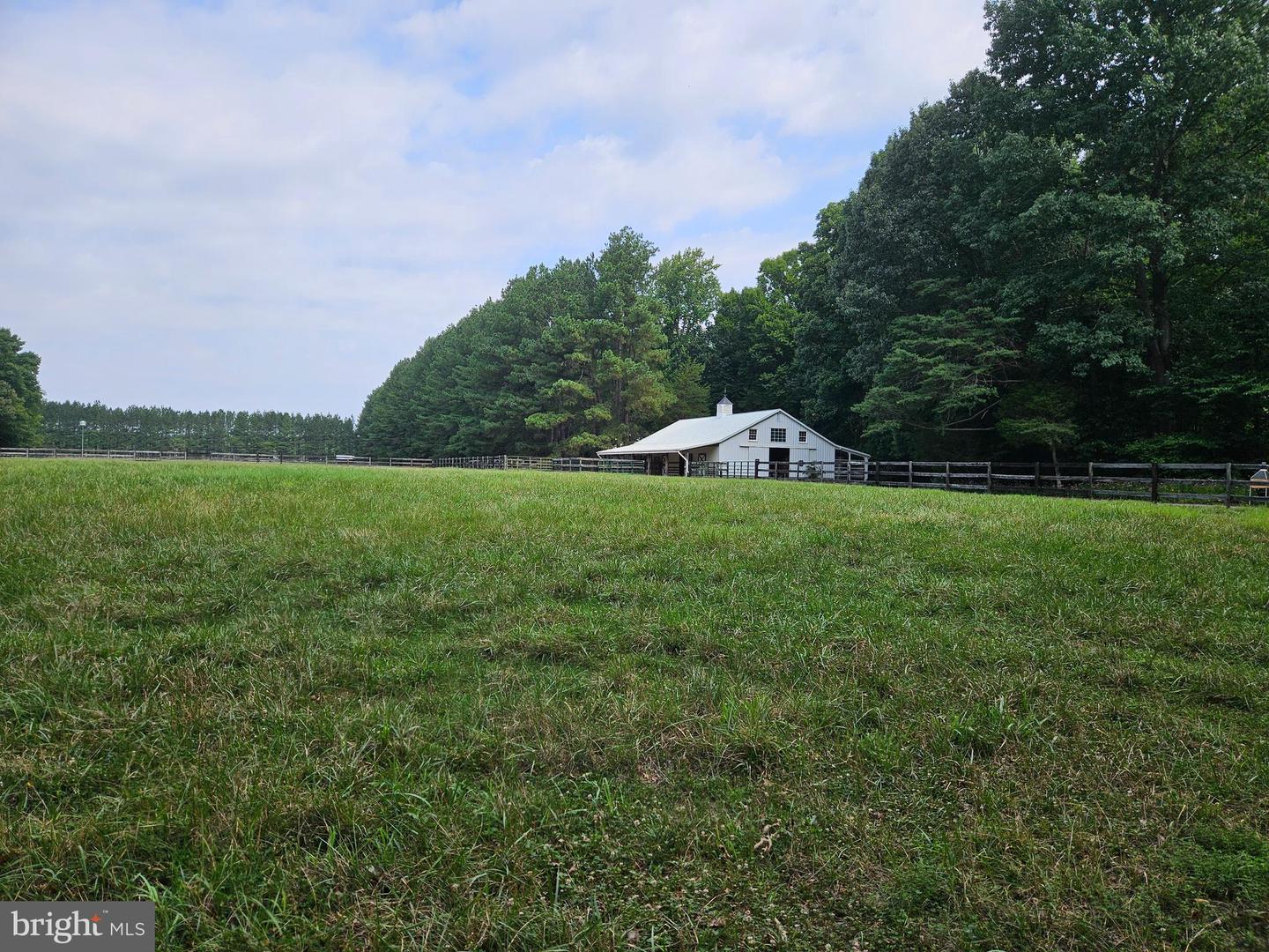 16351 Tanyard Rd Property Photo 49