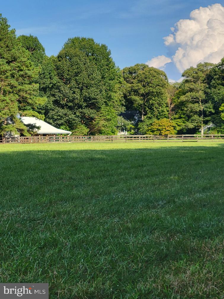 16351 Tanyard Rd Property Photo 75