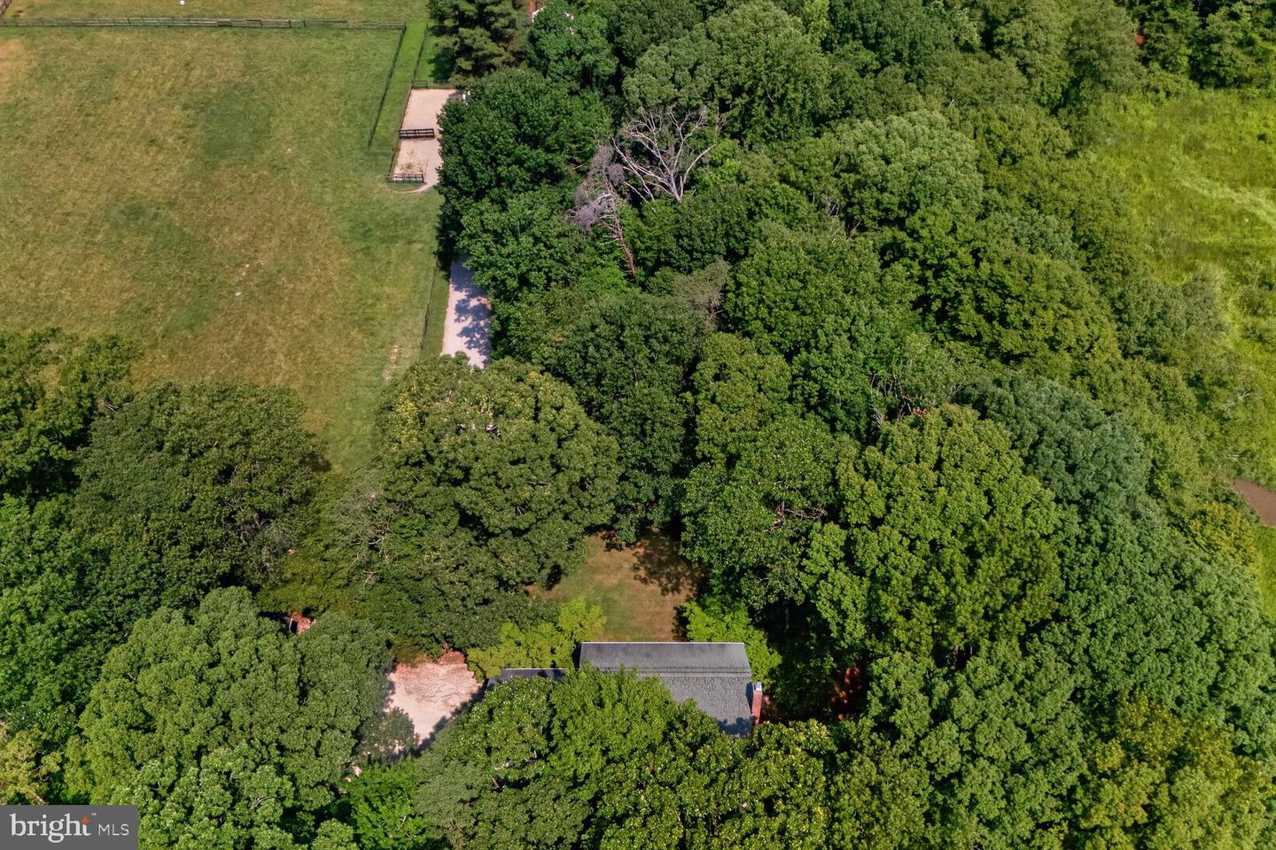 16351 Tanyard Rd Property Photo 77