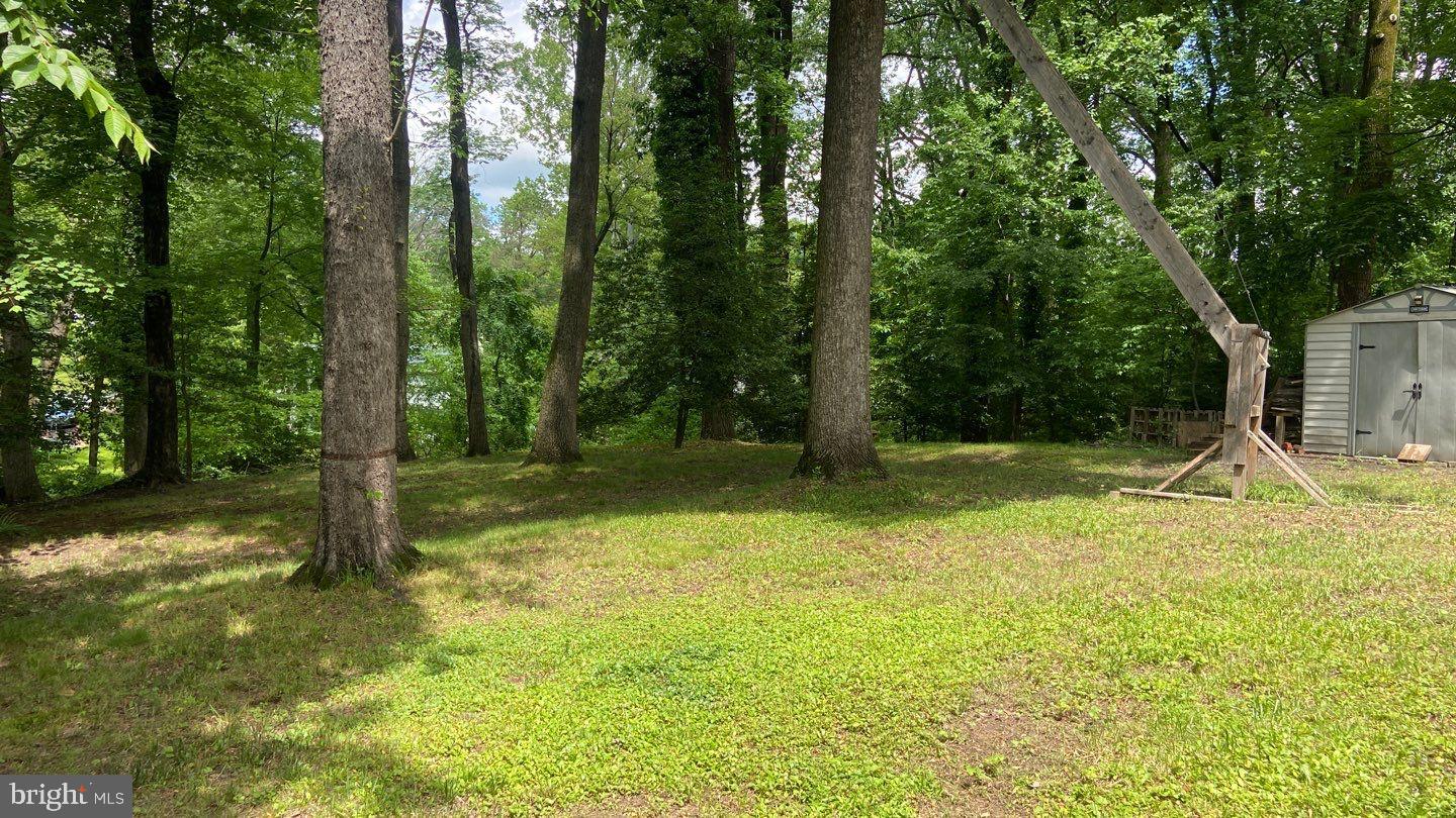 6006 Windham Rd Property Photo 19