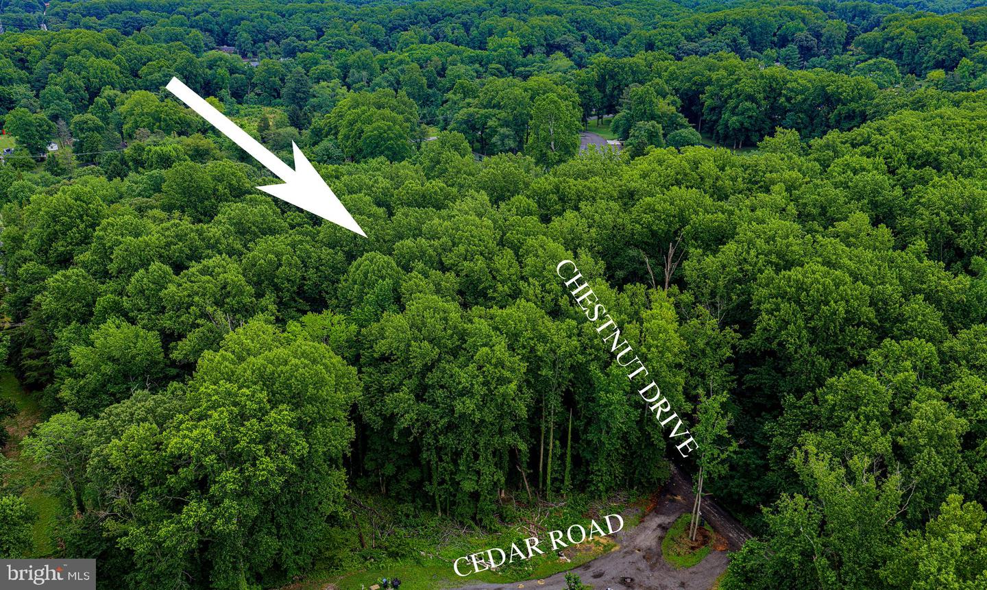 6901 Cedar Rd Property Photo 2