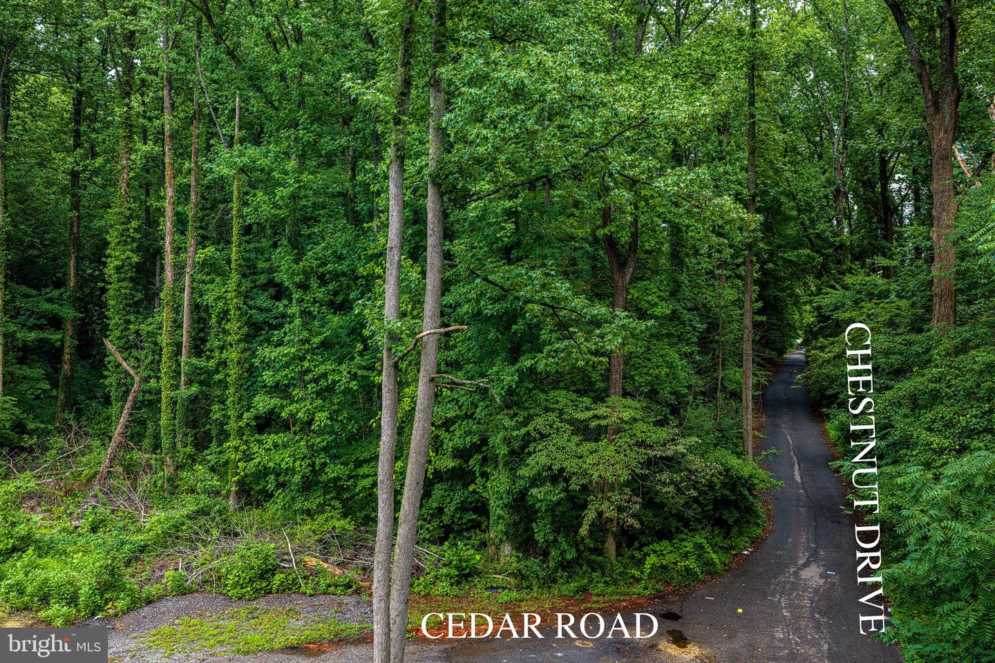 6901 Cedar Rd Property Photo 3