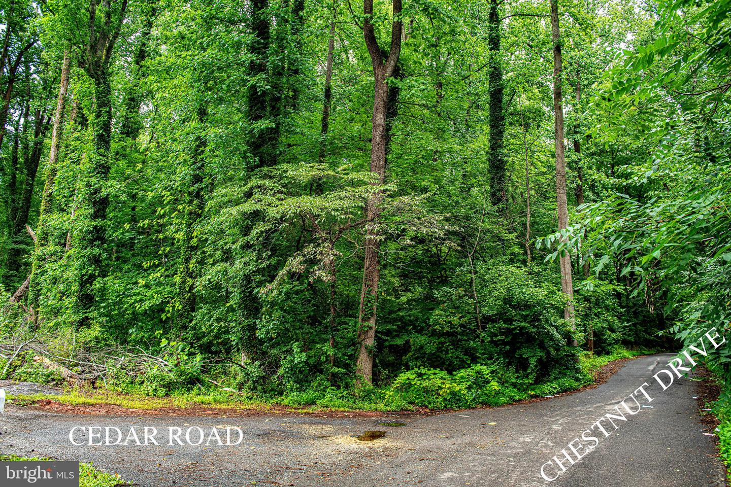 6901 Cedar Rd Property Photo 5