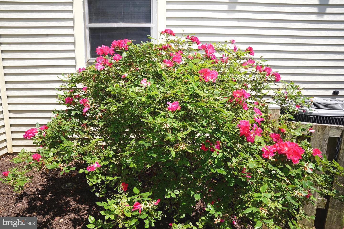 9443 Trevino Ter #82 Property Photo 5