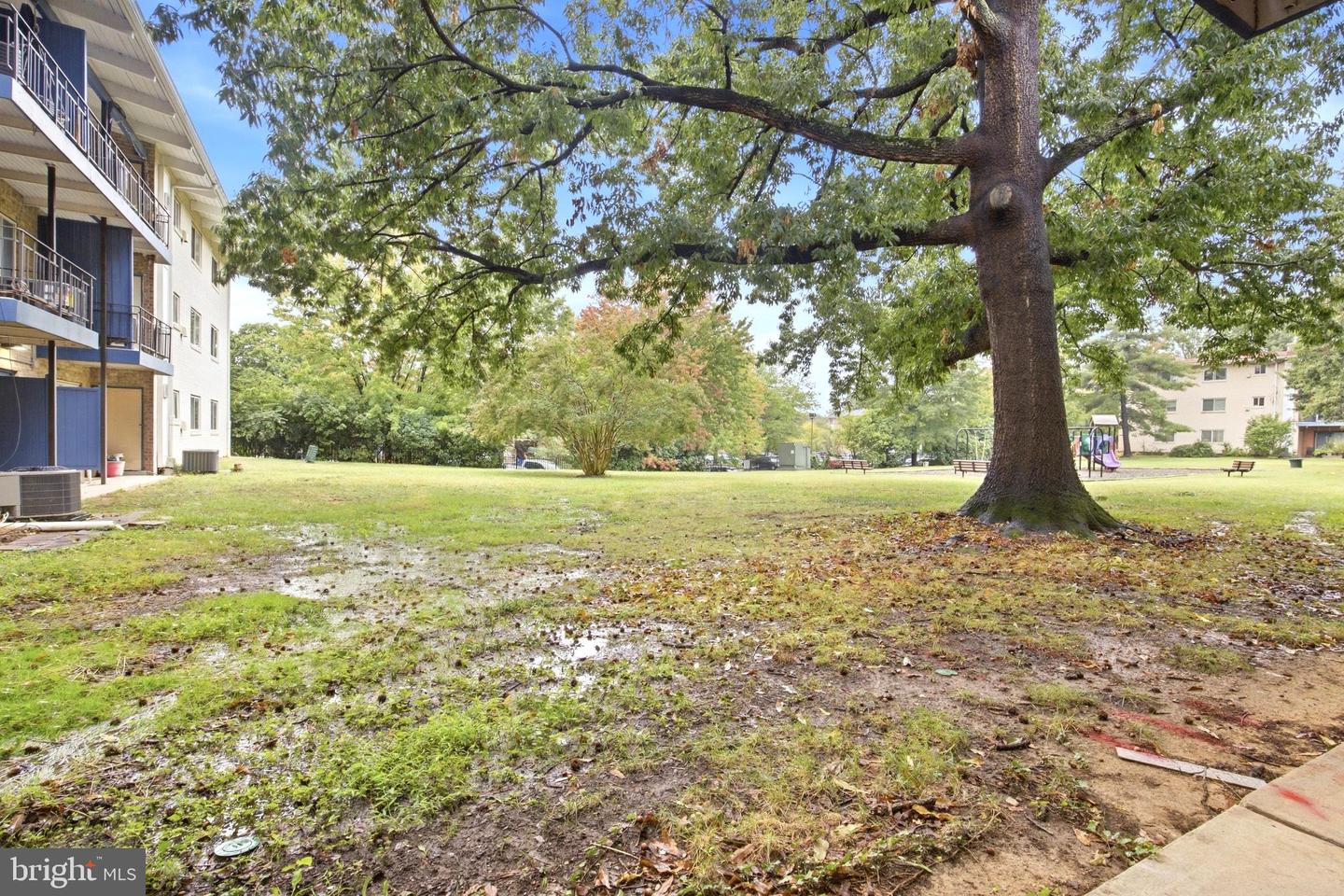 11312 Cherry Hill Rd #102 Property Photo 29