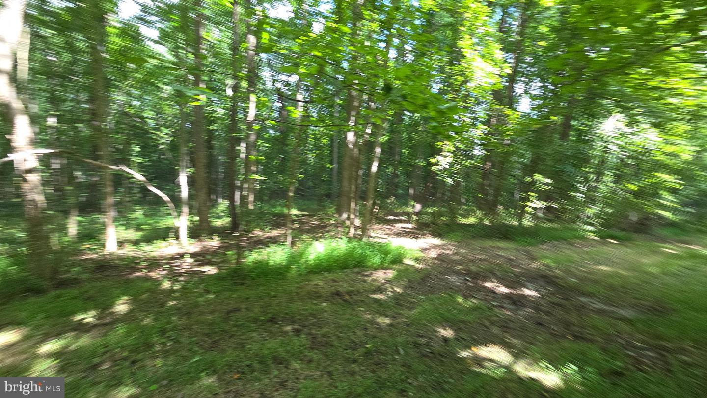 12223 Molly Berry Rd. Property Photo 1