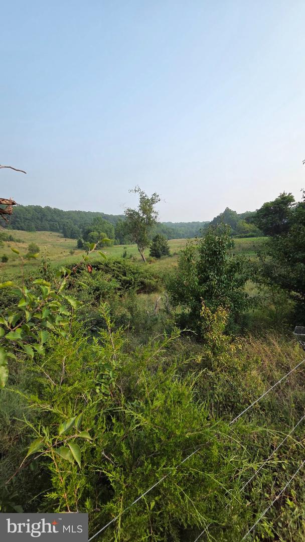 11601 Van Brady Rd Property Photo 9