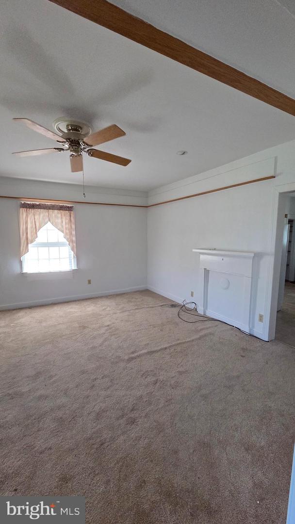 11601 Van Brady Rd Property Photo 33