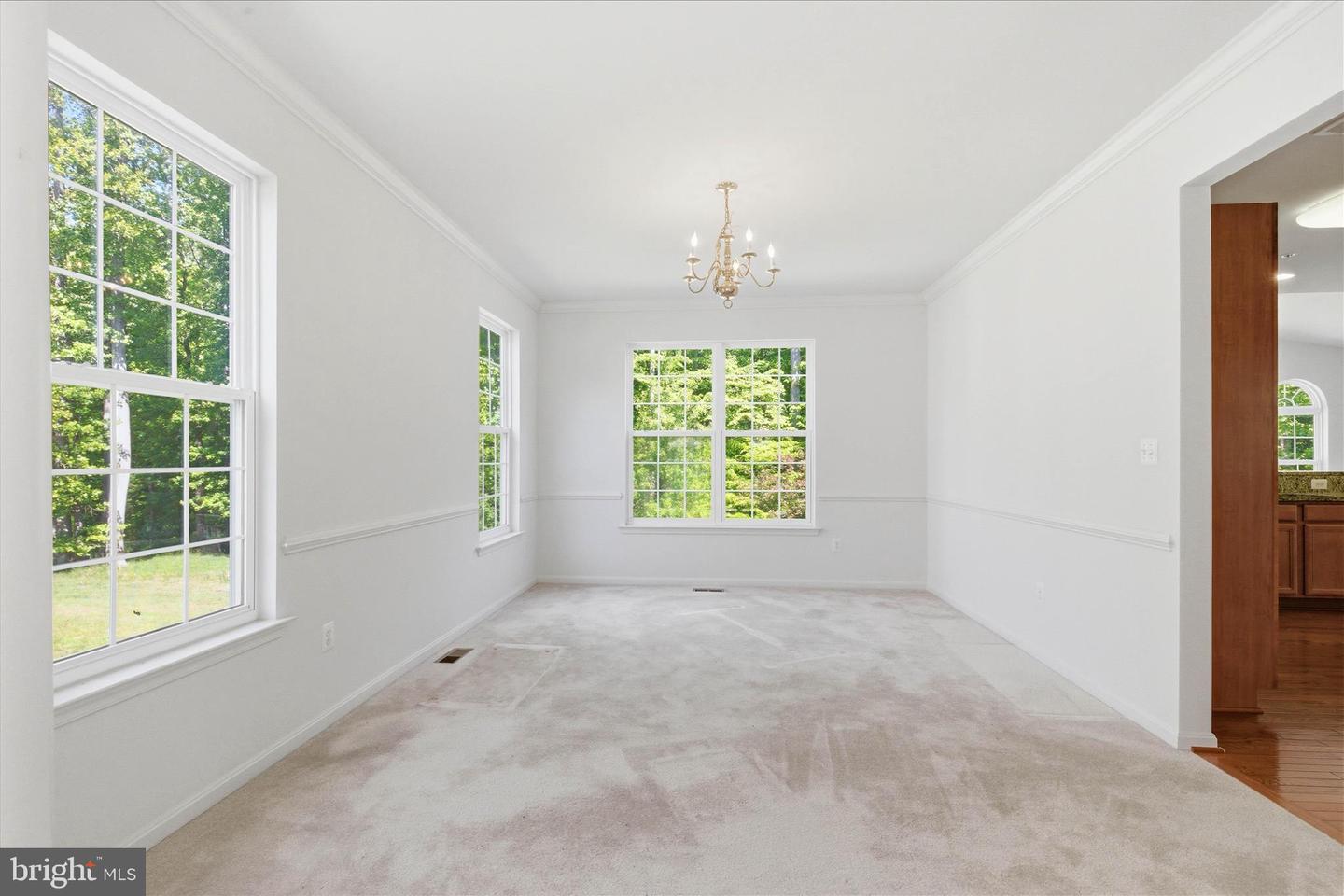 8114 Holly Ln Property Photo 34