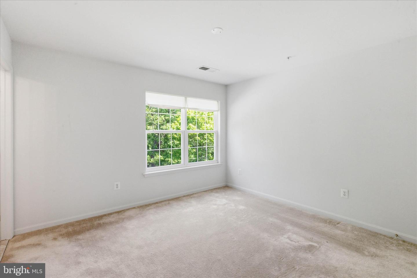 8114 Holly Ln Property Photo 52