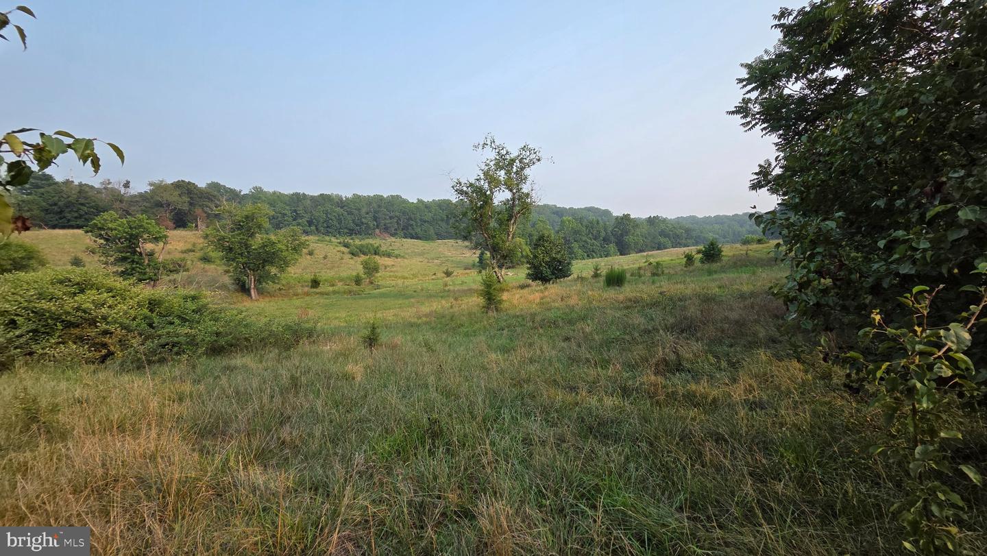11601 Van Brady Rd Property Photo 6