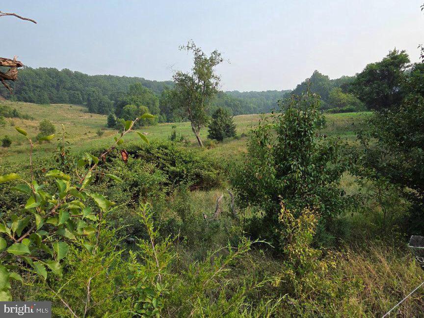 11601 Van Brady Rd Property Photo 9