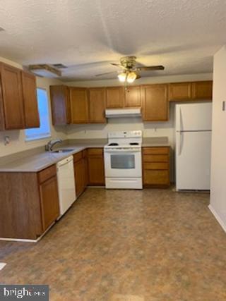 11231 Joyceton Dr Property Photo 4