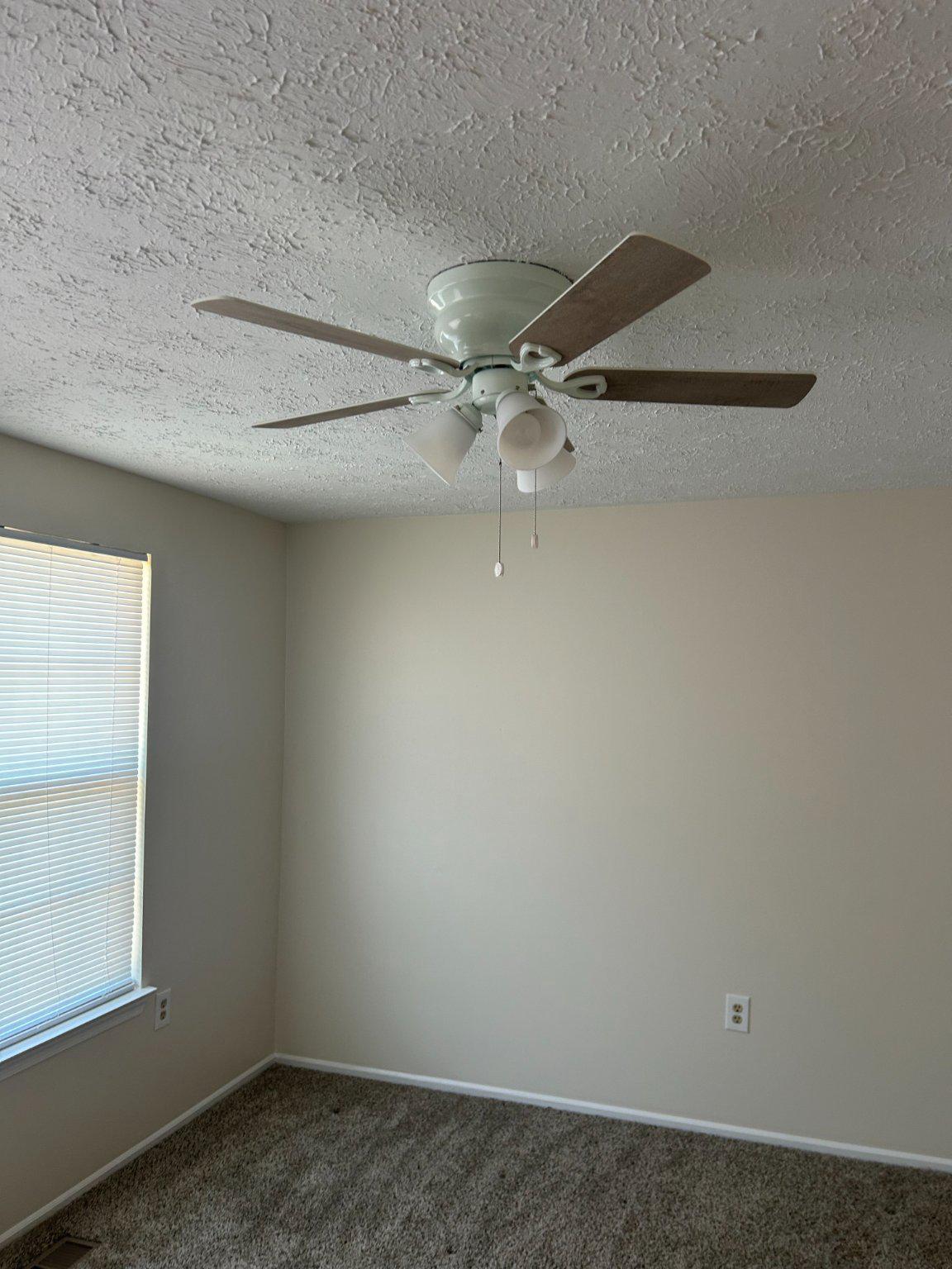 11231 Joyceton Dr Property Photo 10