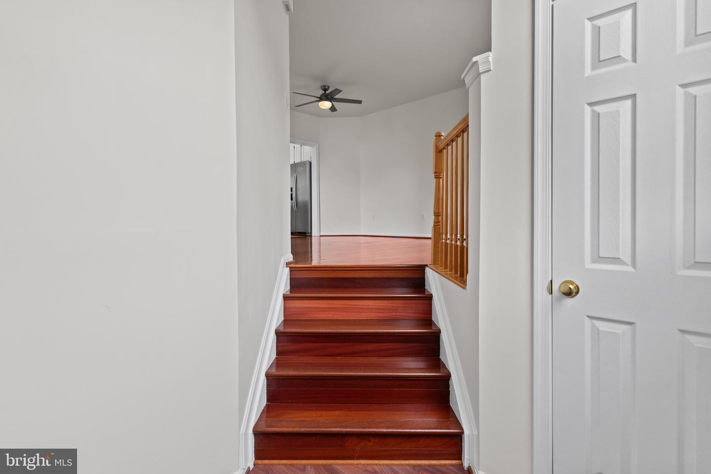 12331 Quiet Owl Ln Property Photo 5