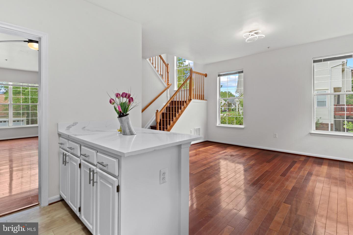12331 Quiet Owl Ln Property Photo 11