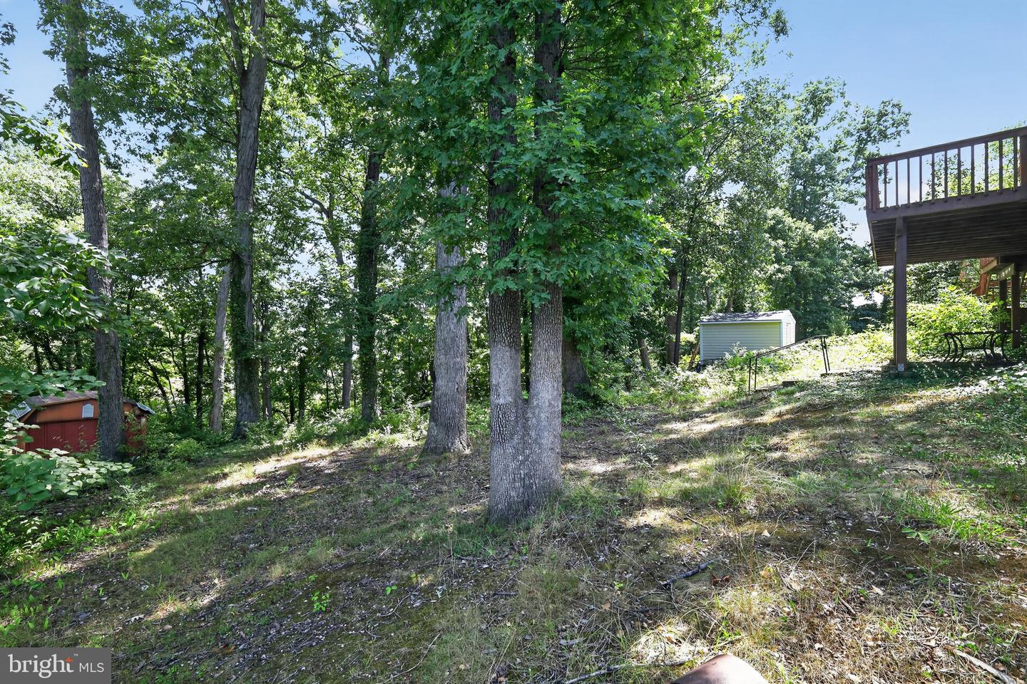 7314 Lois Ln Property Photo 18
