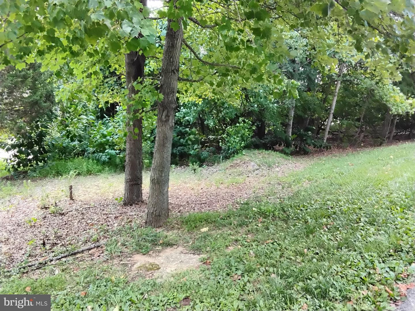 9907 Wenzel Ln #outlotc Property Photo 1