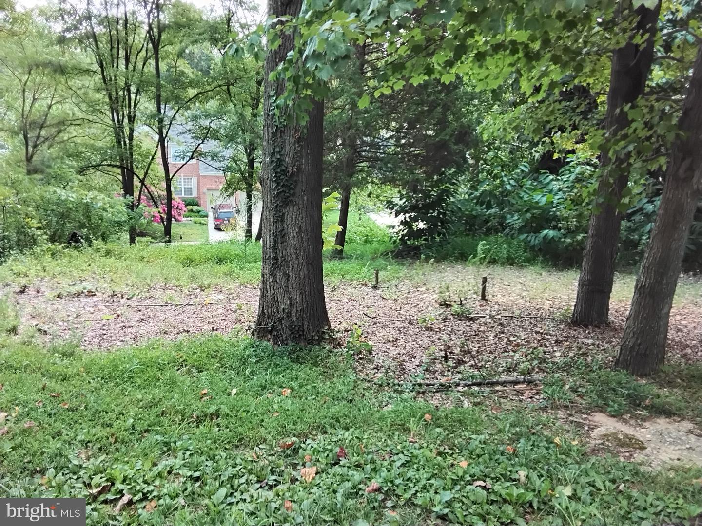 9907 Wenzel Ln #outlotc Property Photo 2