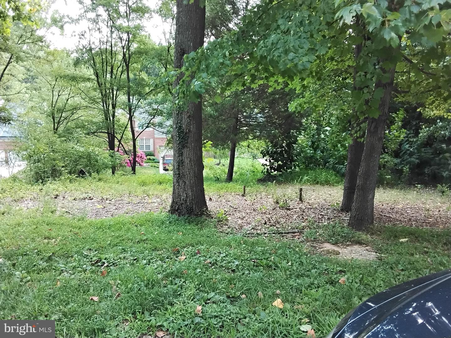 9907 Wenzel Ln #outlotc Property Photo 3