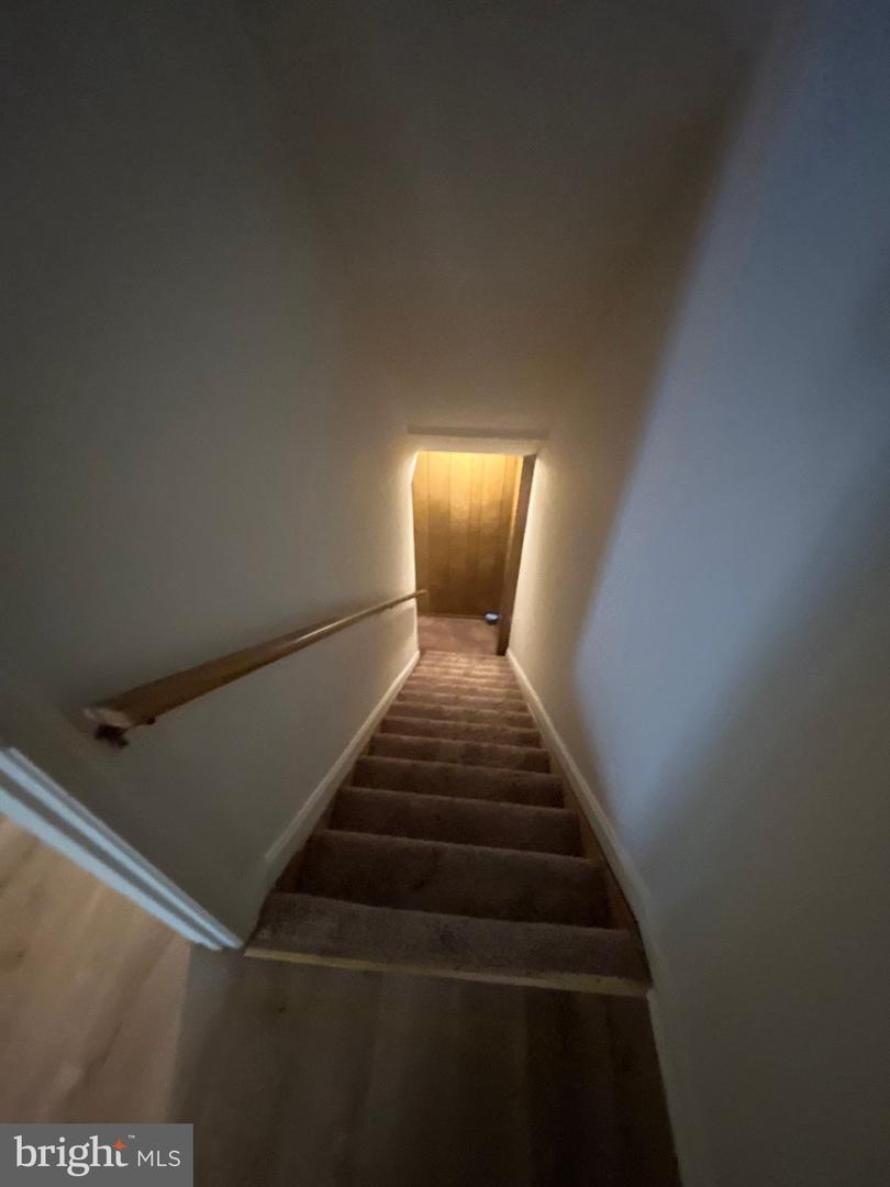 12809 Cheval Ct Property Photo 8