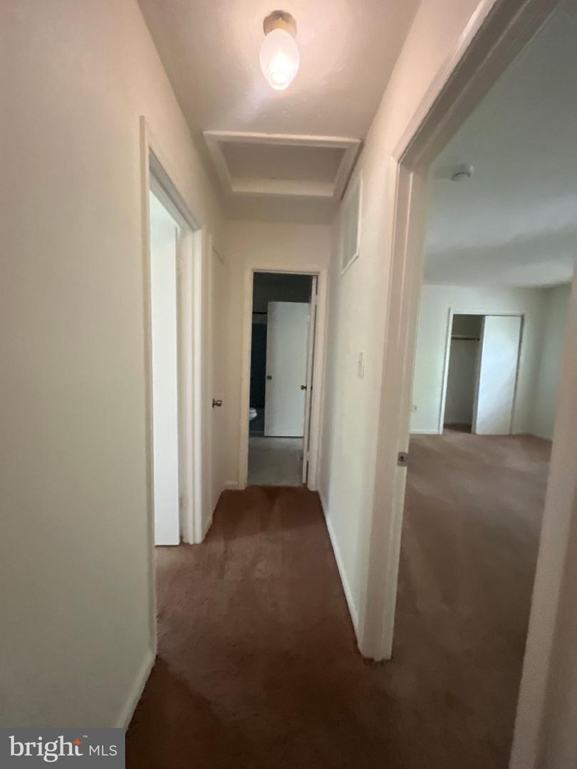 12809 Cheval Ct Property Photo 20