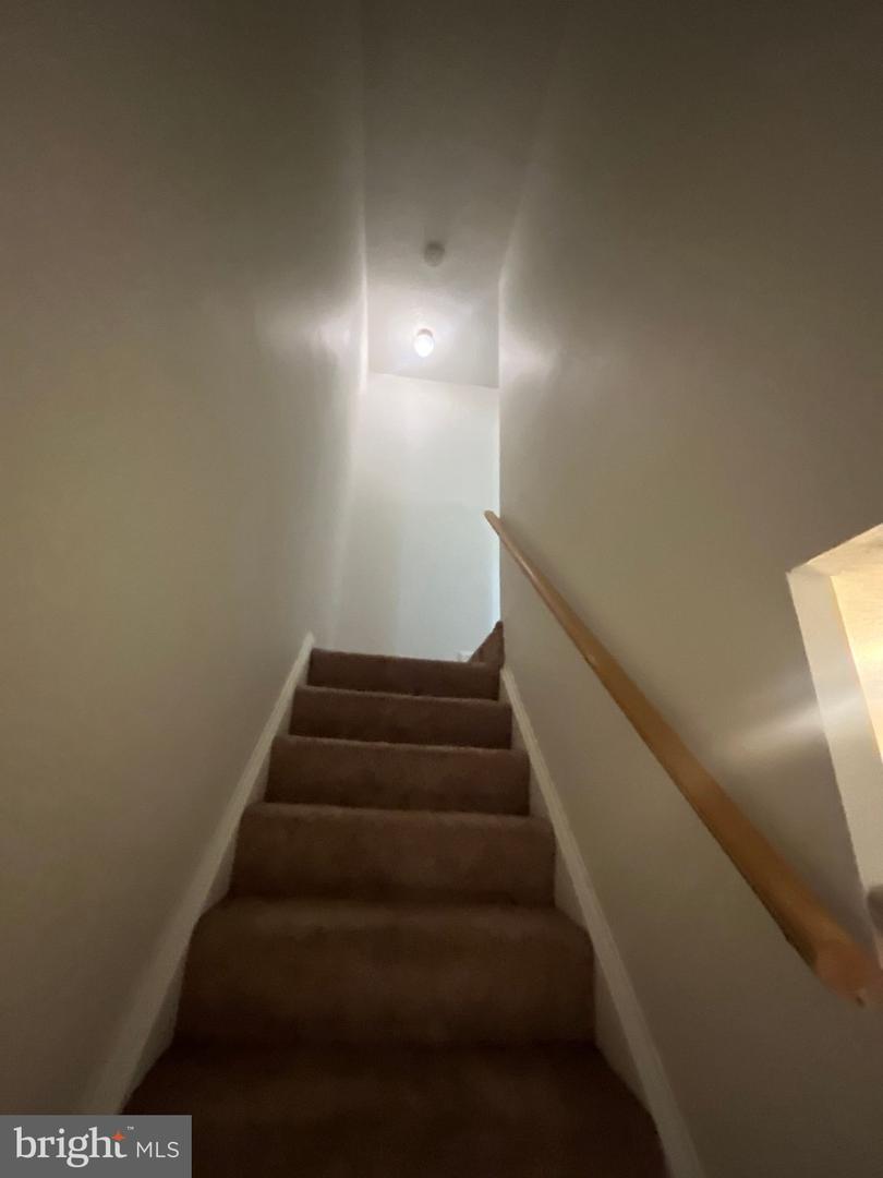 12809 Cheval Ct Property Photo 21