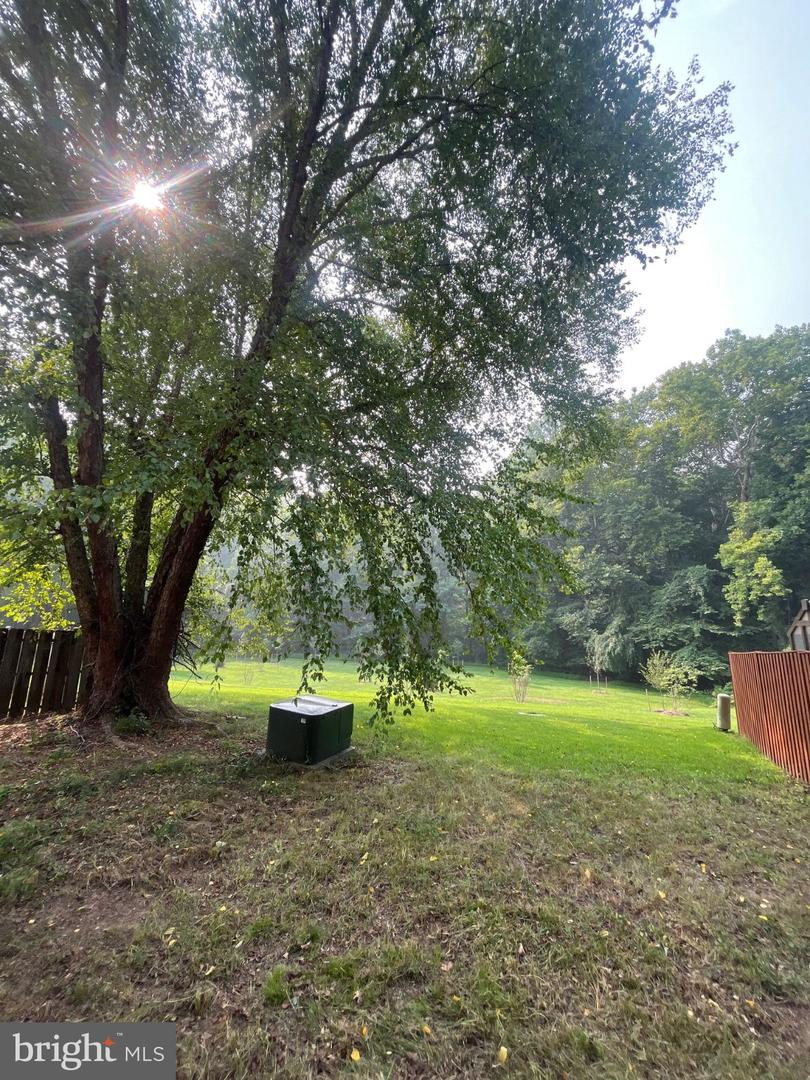 12809 Cheval Ct Property Photo 30