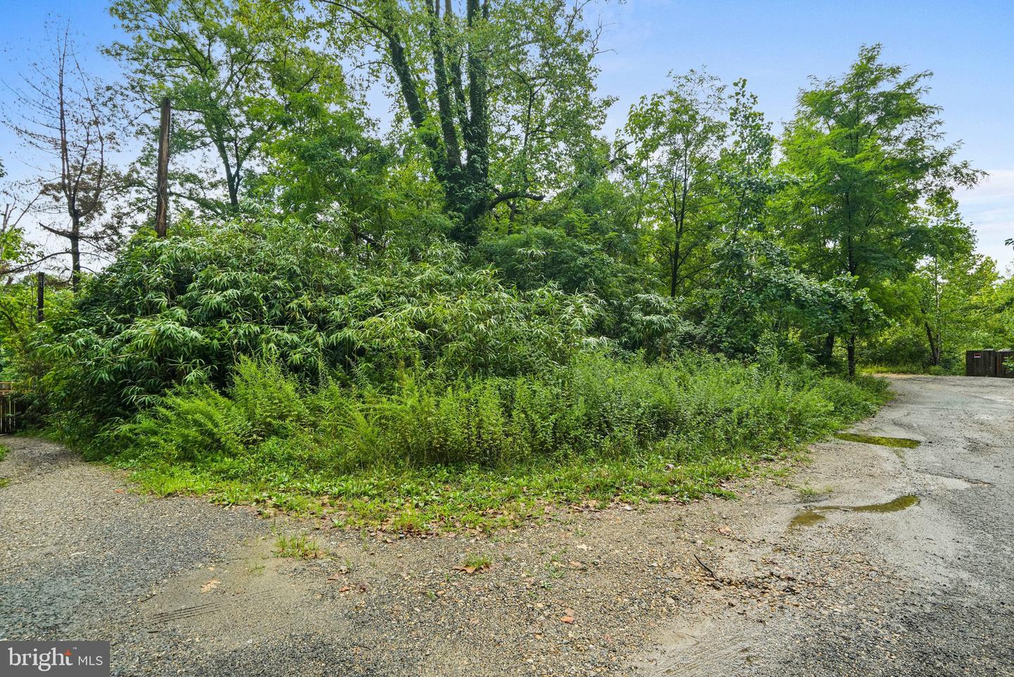 1208 Sue Ln Property Photo 1