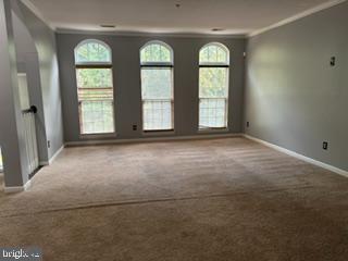 12310 Open View Ln #1006 Property Photo 6
