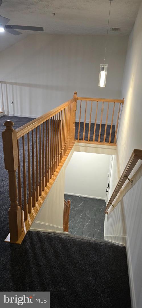 3708 Excalibur Ct #302 Property Photo 11