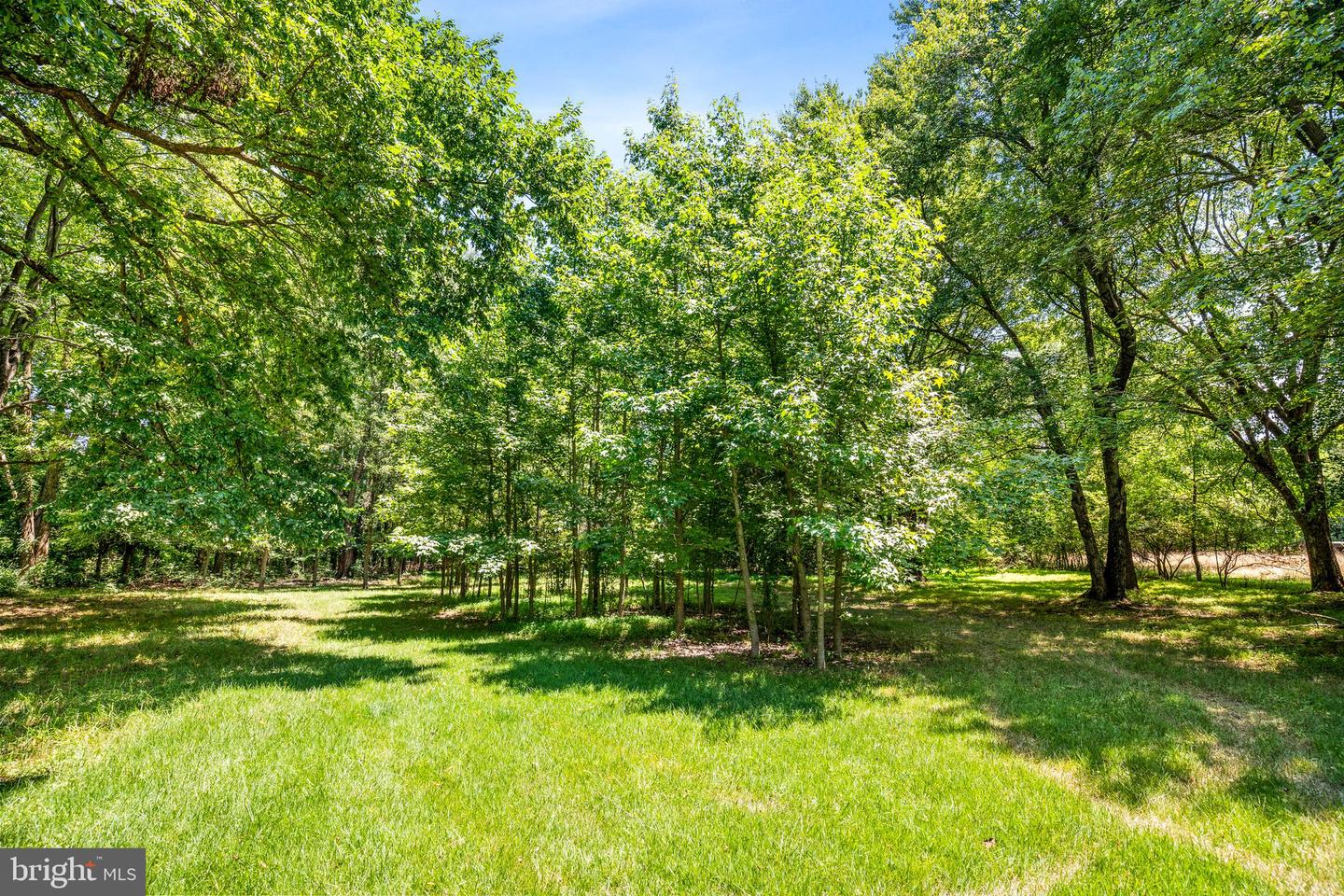 6510 Horseshoe Rd Property Photo 38