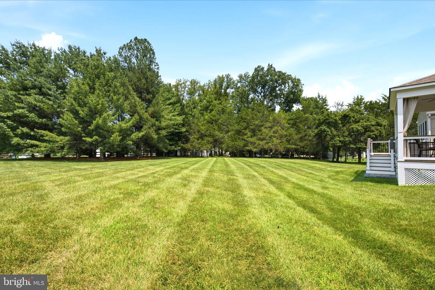 14407 Secretariat Dr Property Photo 63