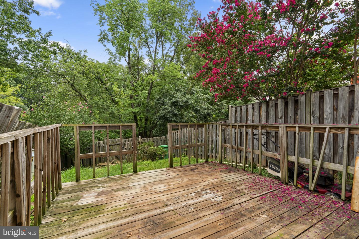 8437 Snowden Oaks Pl Property Photo 34