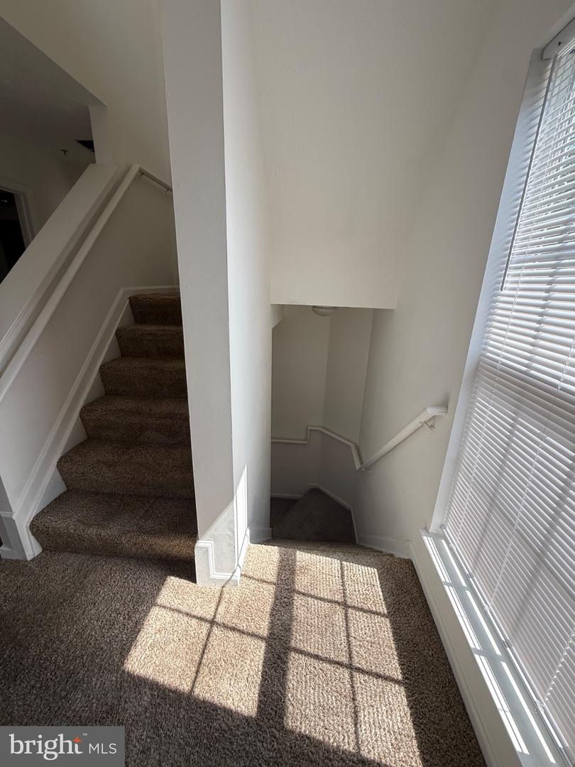 3801 Elmcrest Ln Property Photo 12