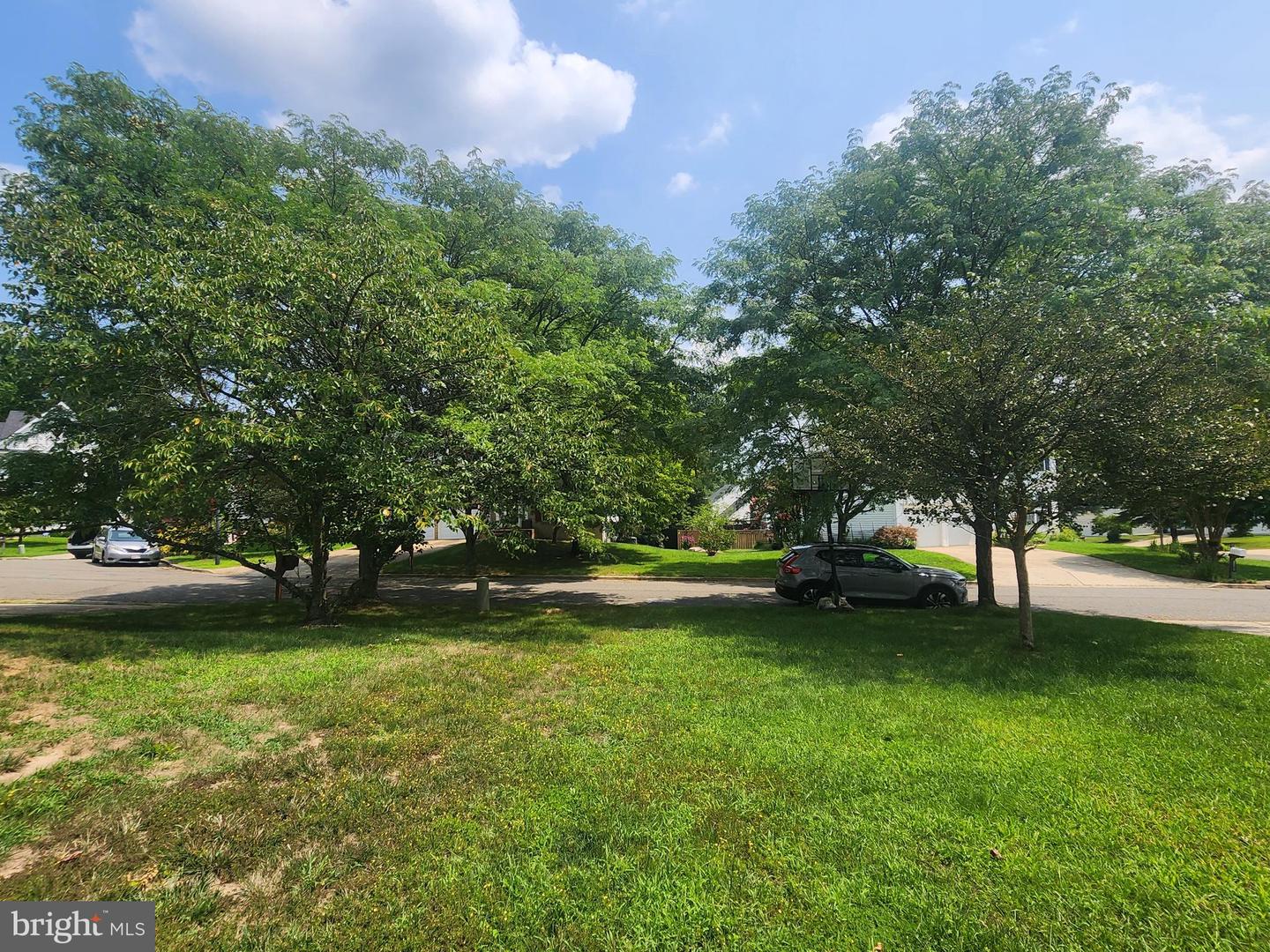 11200 Hickory Grove Ct Property Photo 11