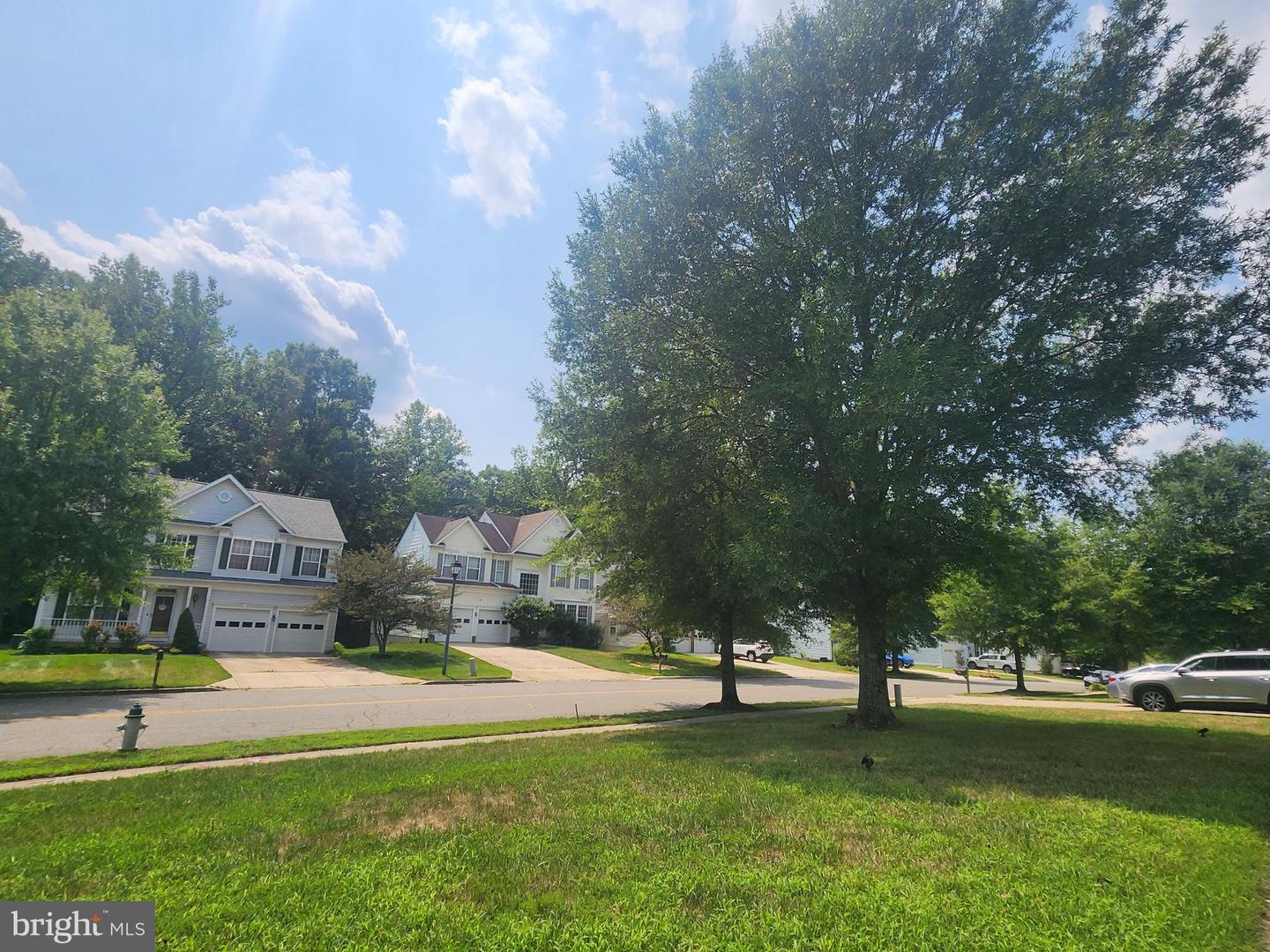 11200 Hickory Grove Ct Property Photo 13