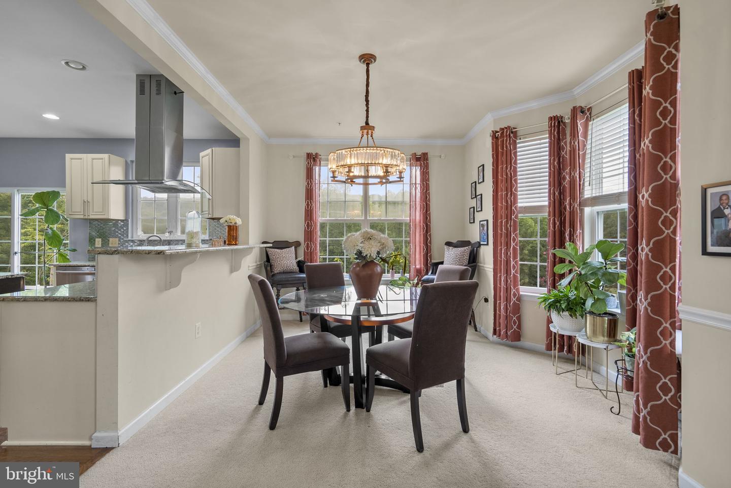 17105 Madrillon Way Property Photo 10
