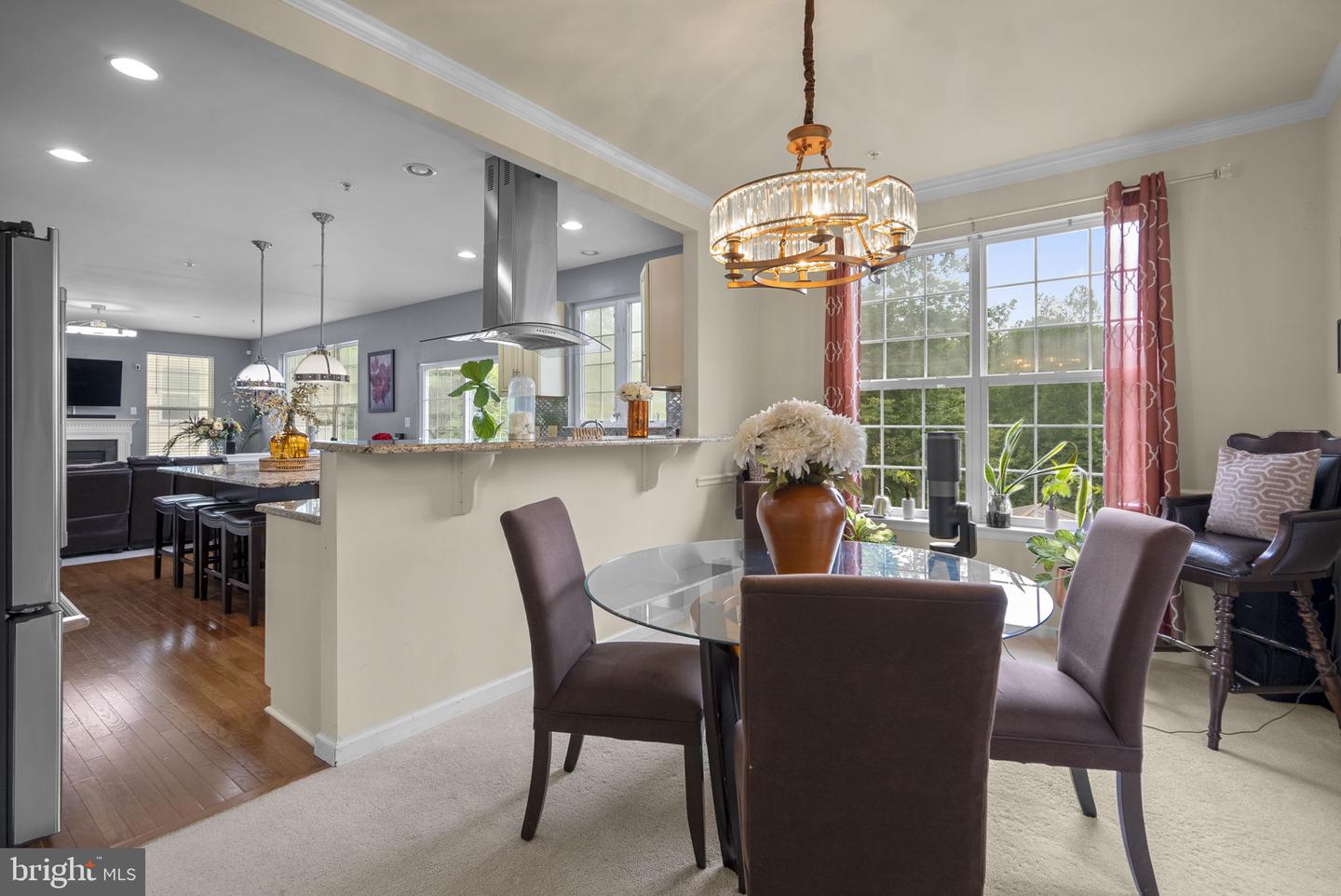17105 Madrillon Way Property Photo 11