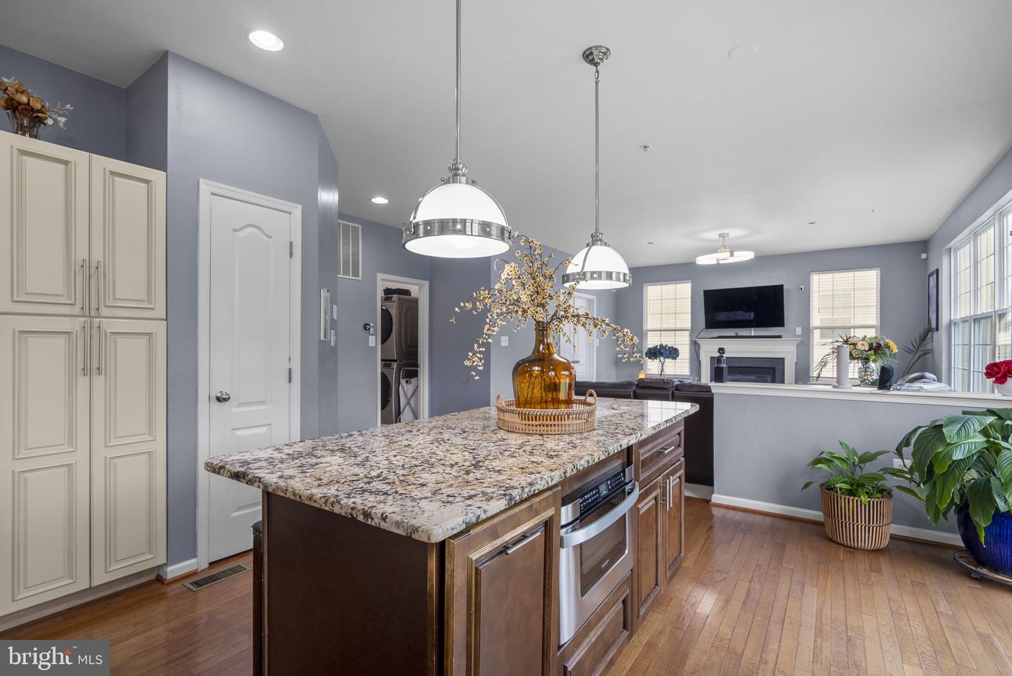 17105 Madrillon Way Property Photo 16