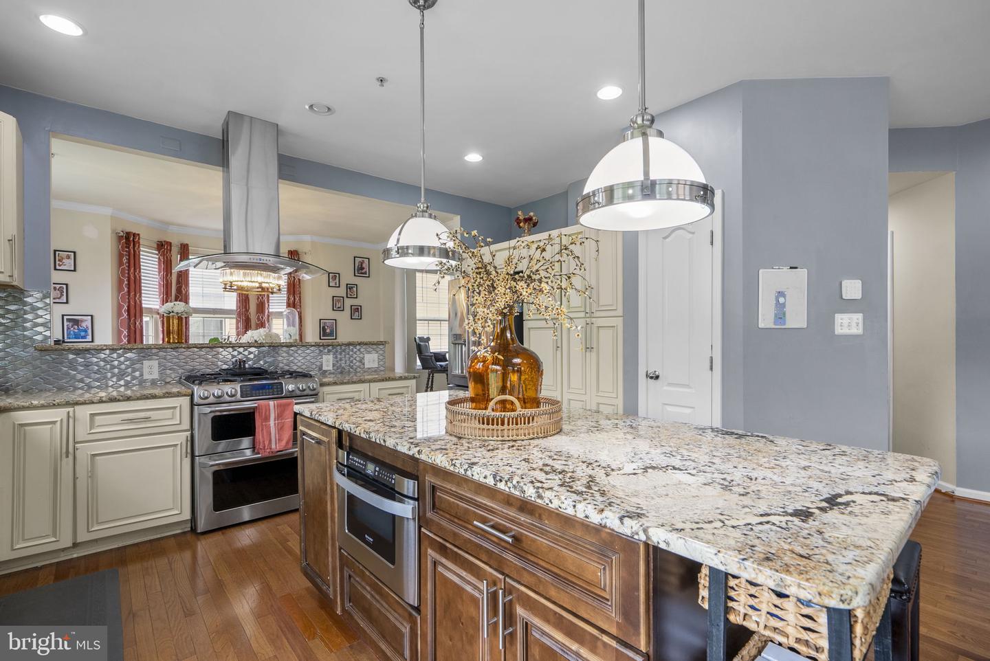 17105 Madrillon Way Property Photo 18