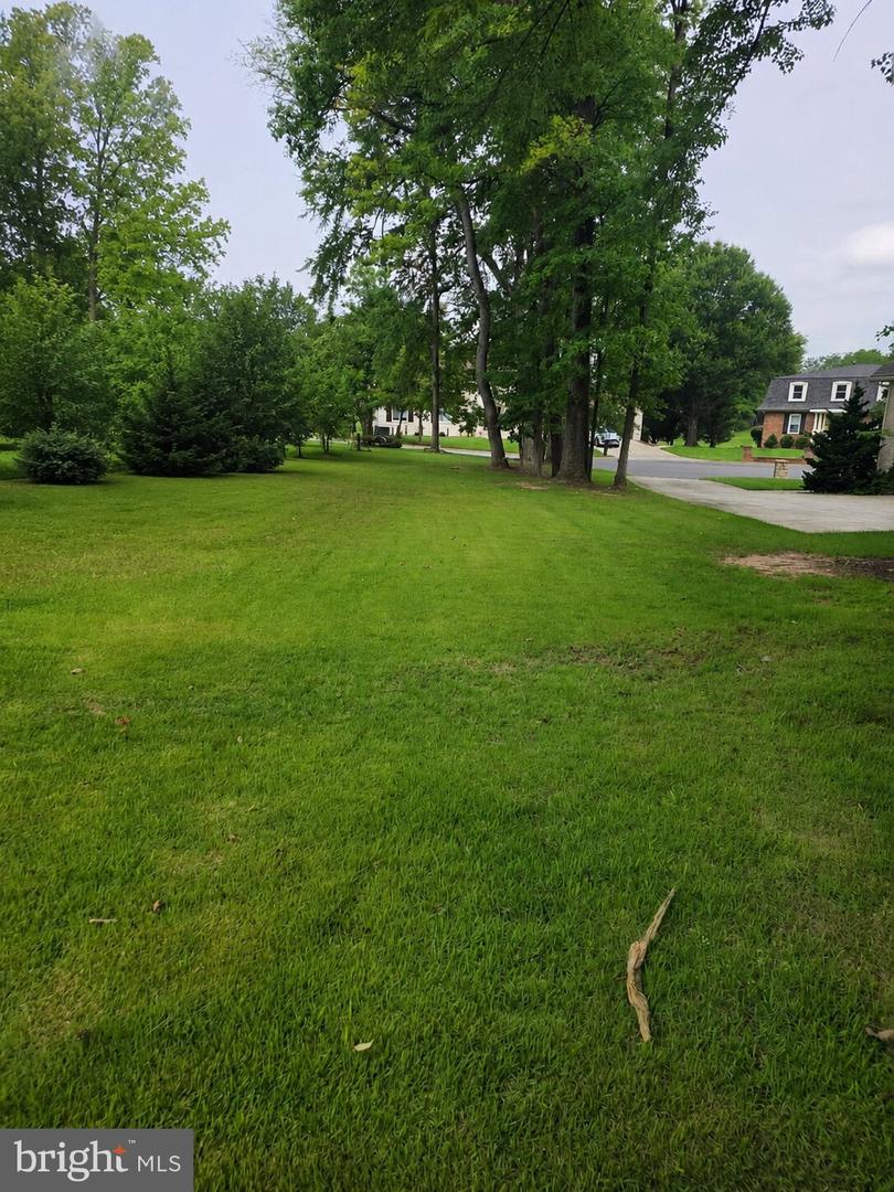 12504 Mcewan Cir Property Photo 16