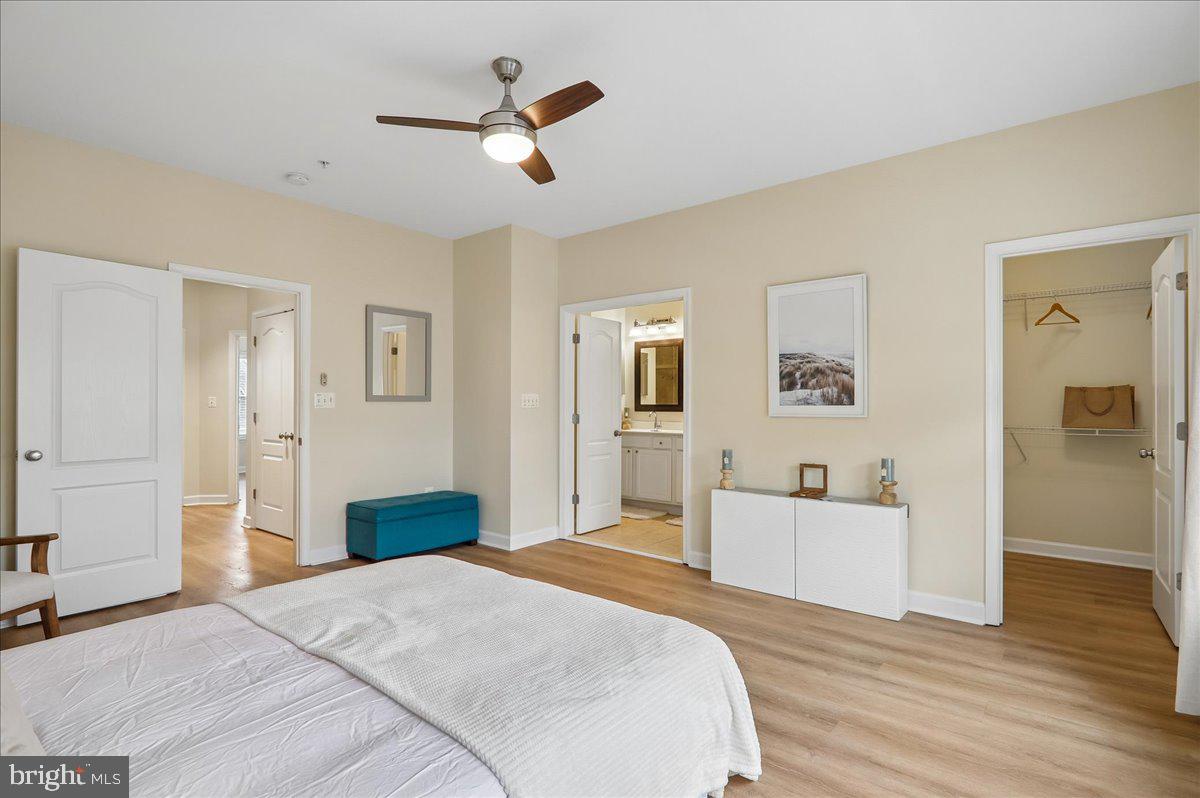 644 Spectator Property Photo 23
