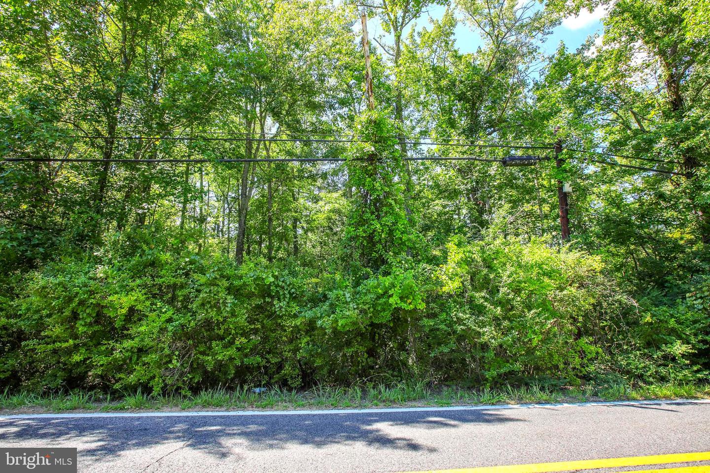 16950 Property Photo 1