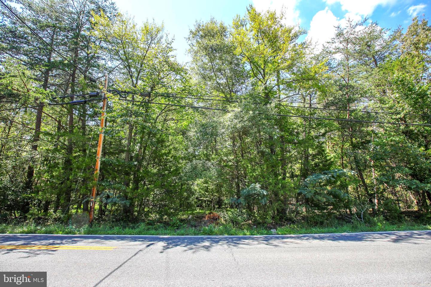 16950 Property Photo 2