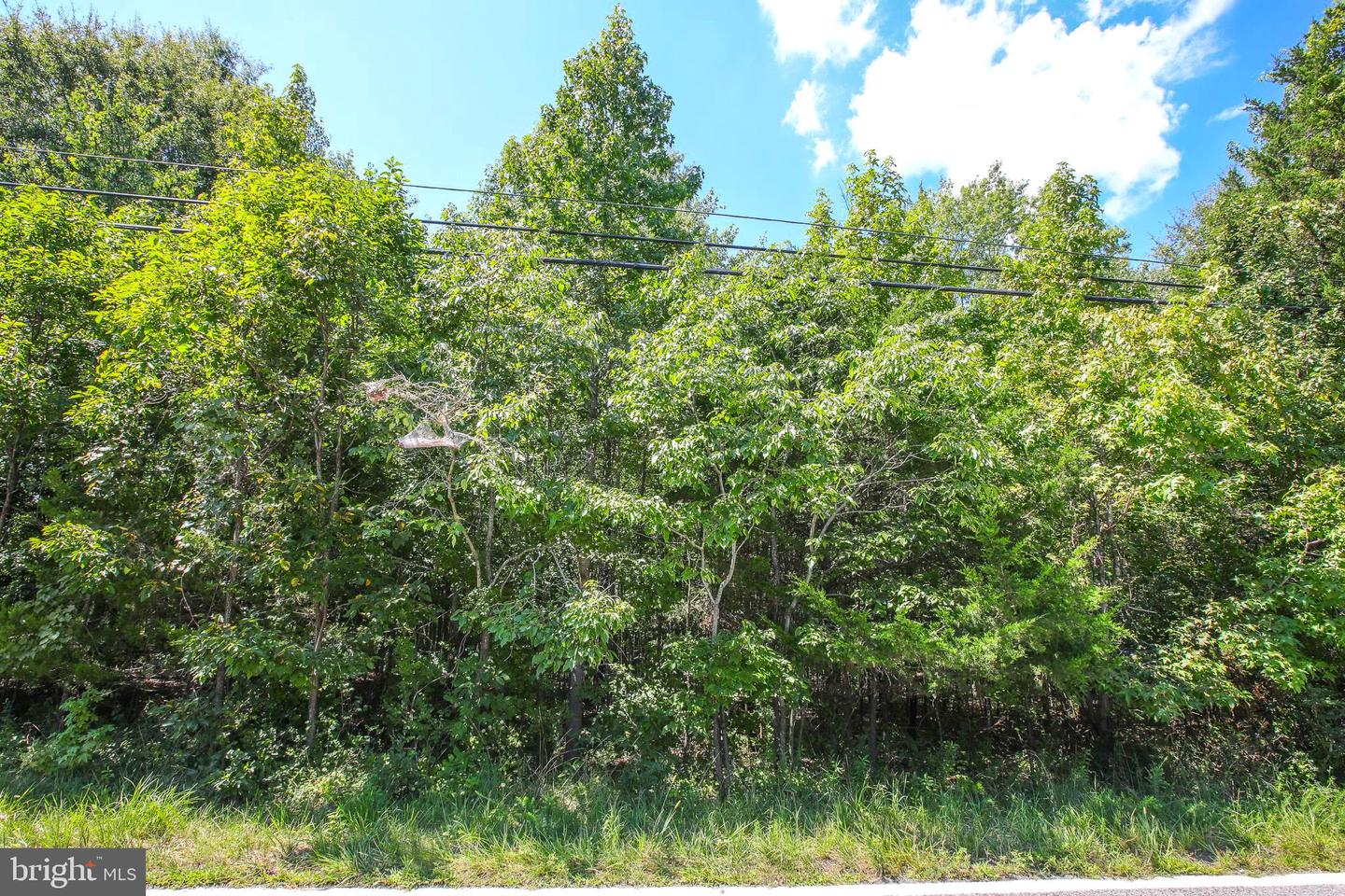 16950 Property Photo 3