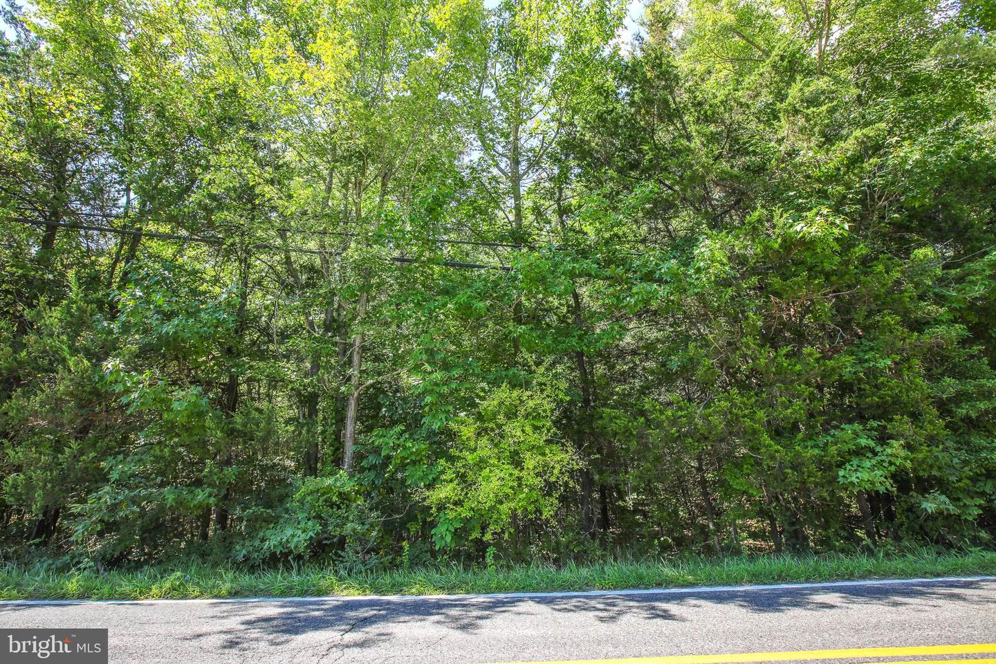 16950 Property Photo 9