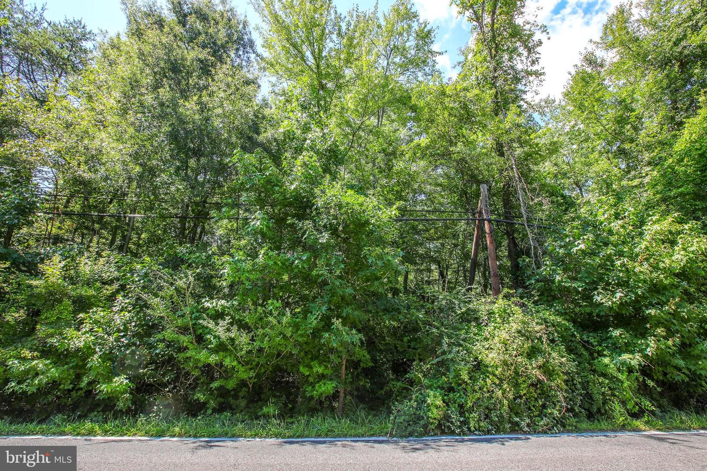 16950 Property Photo 10